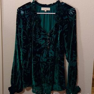NWOT Hale Bob Green Burnout Velvet Bohemian Top Size S Long Sleeve